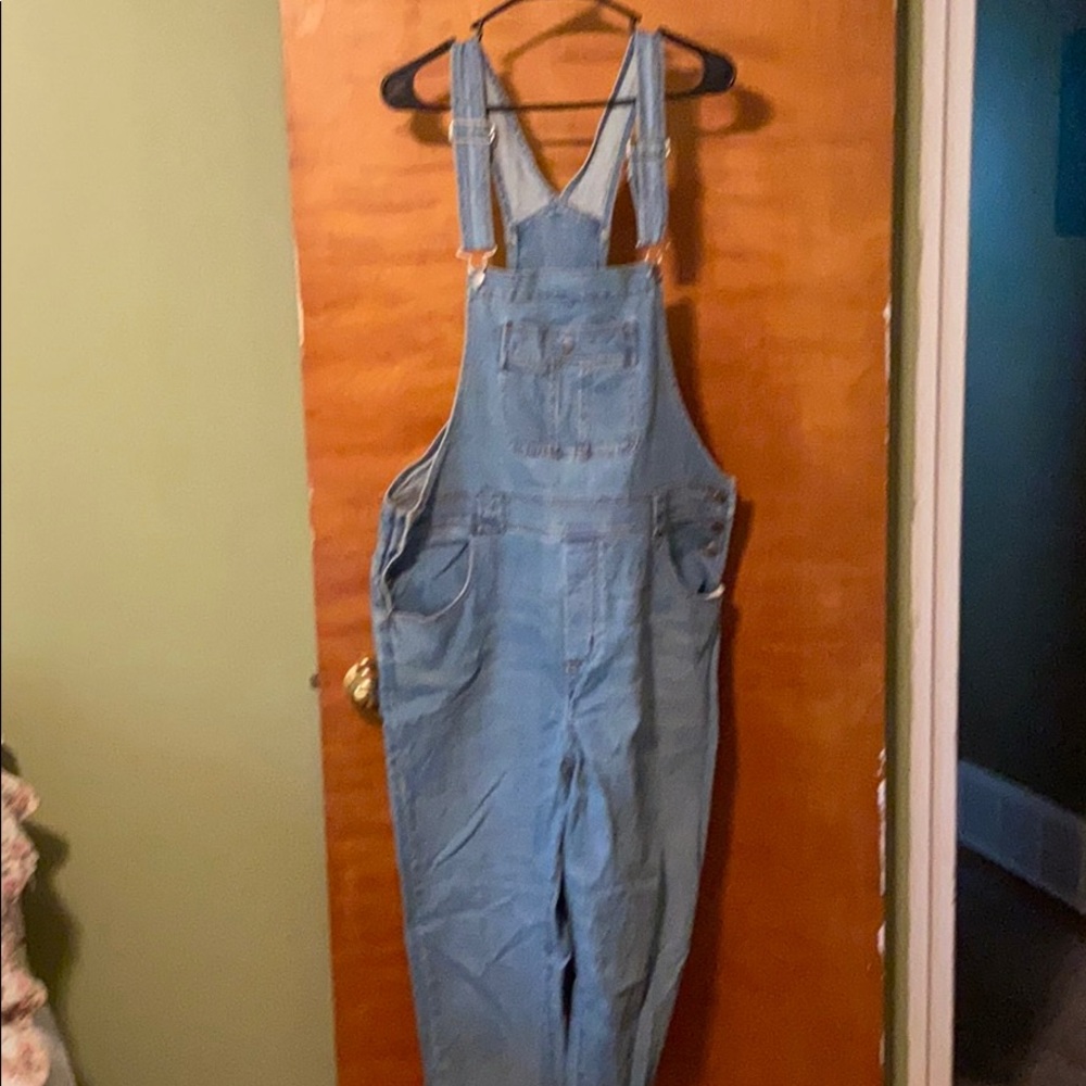 Venezia for Lane Bryant denim overalls